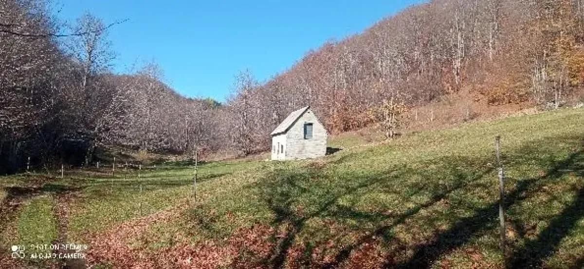 Prodaja, plac, 99100m², Donja Bukovica, Šavnik