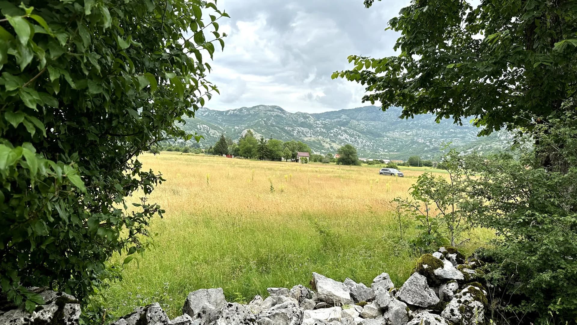 Prodaja, plac, 12000m², Grahovo, Nikšić