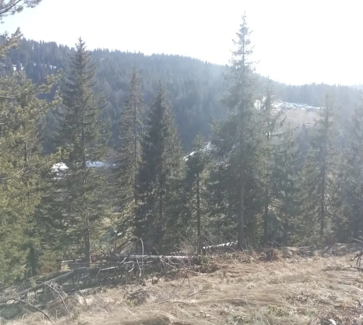 Prodaja, plac, 500m², Lubnice, Berane