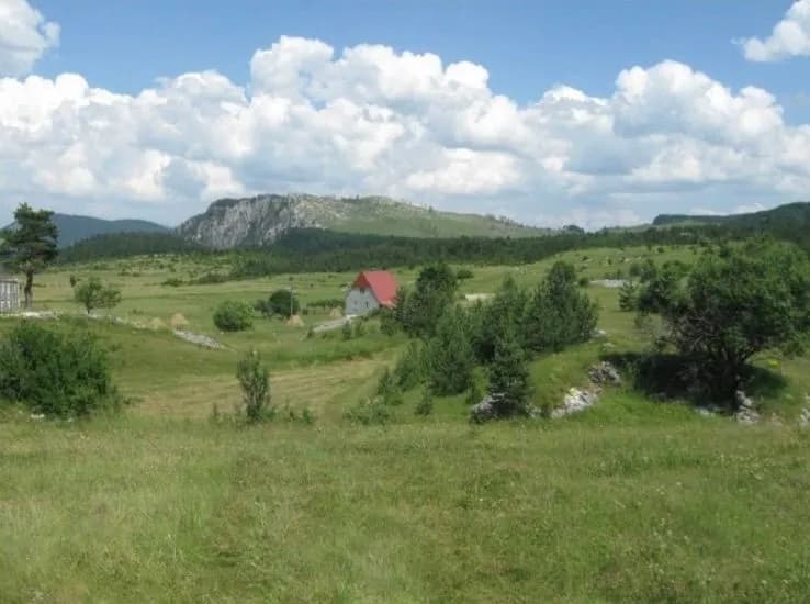 Prodaja, plac, 14677m², Žabljak, Crna Gora