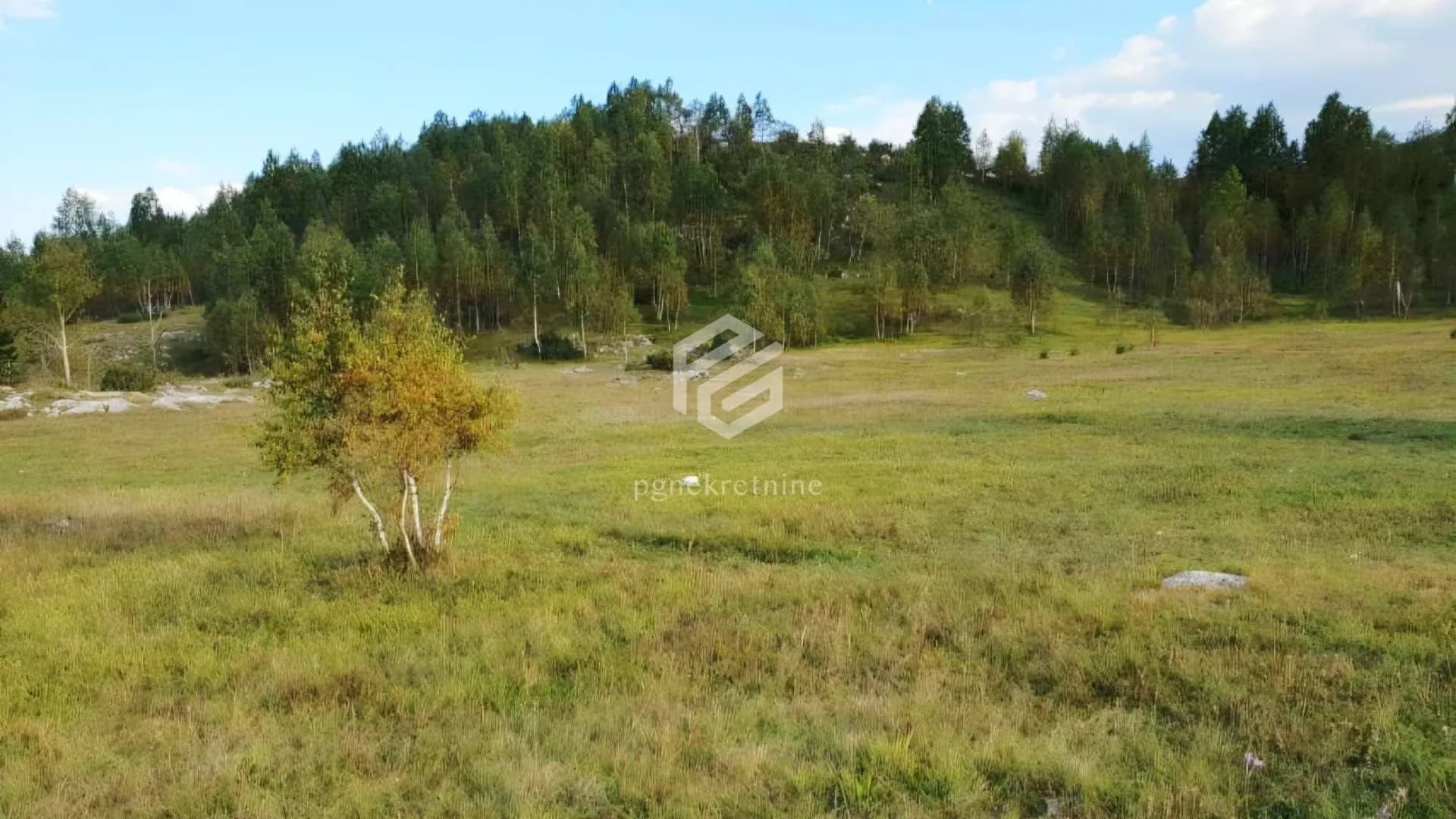 Prodaja, plac, 91611m², Žabljak, Crna Gora
