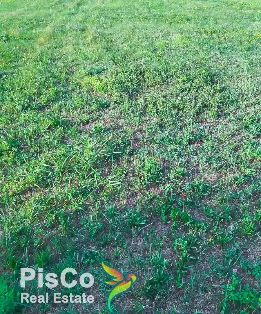 Prodaja, plac, Danilovgrad, Crna Gora