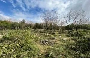Prodaja, plac, 2447m², Budva, Crna Gora