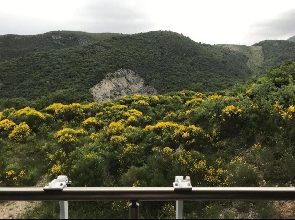 Prodaja, dvosoban stan, 68m², Bečići, Budva