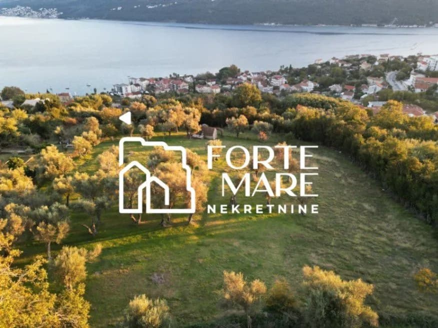 Prodaja, plac, 7560m², Đenovići, Herceg Novi