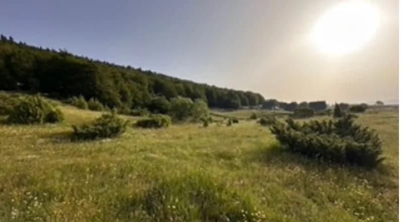 Prodaja, plac, 800m², Motički gaj, Žabljak