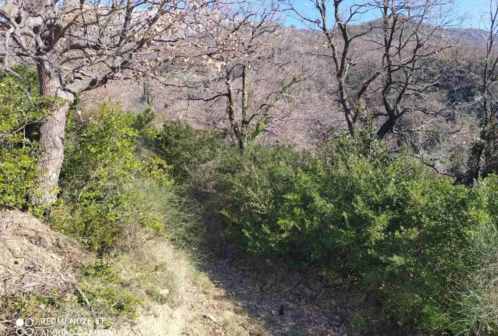 Prodaja, plac, 9880m², Bar, Crna Gora