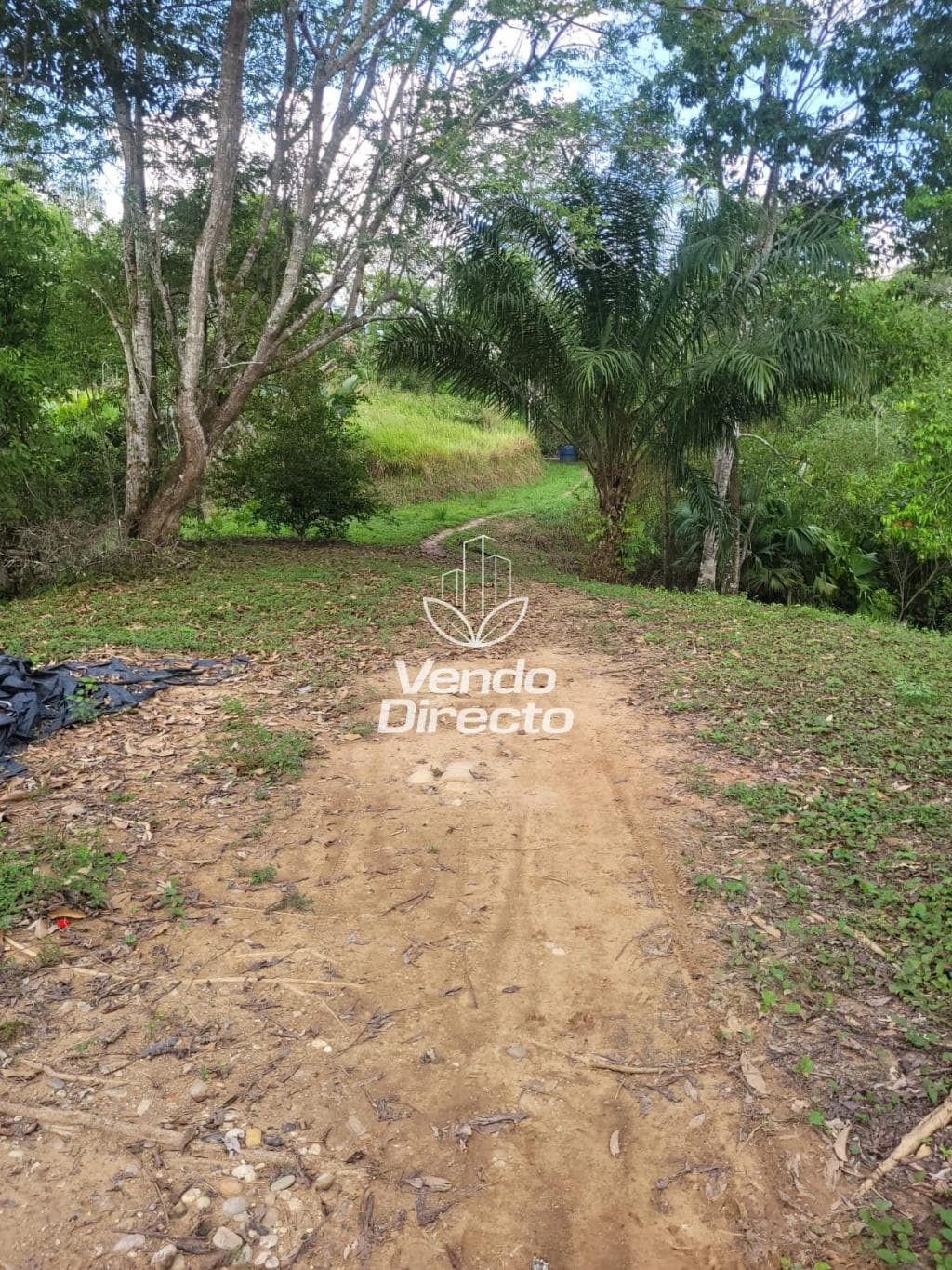 Finca en Venta