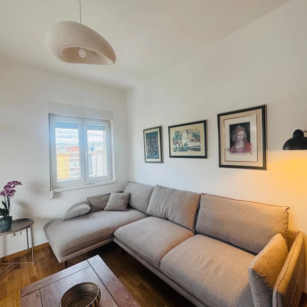 1 bedroom apartment