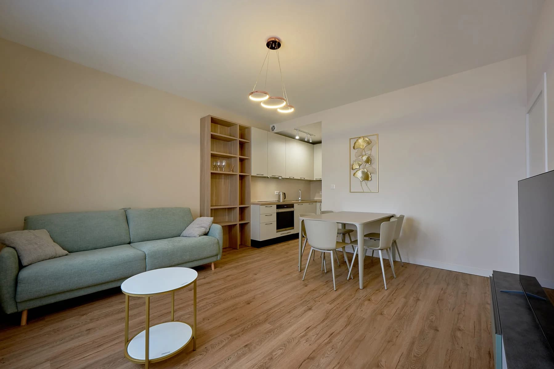 1 bedroom apartment
