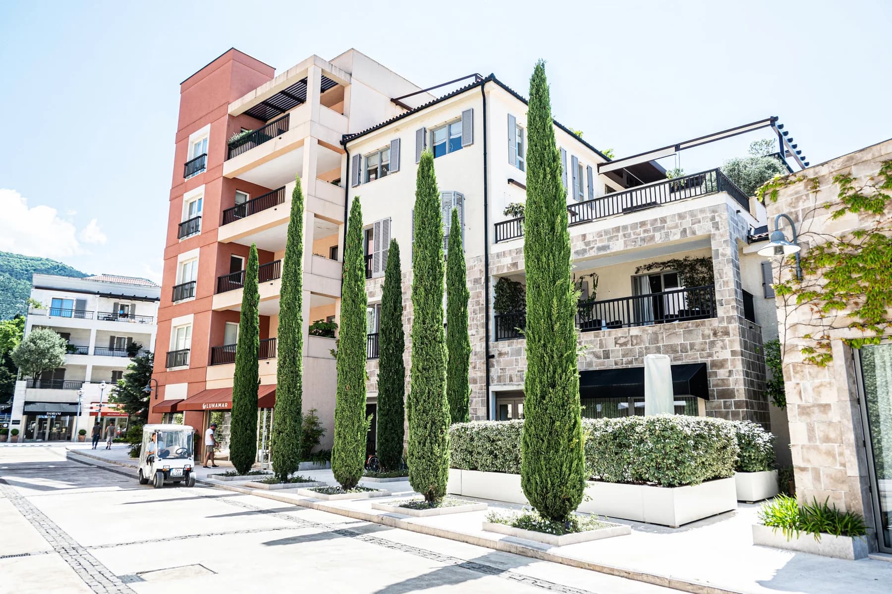1 bedroom apartment