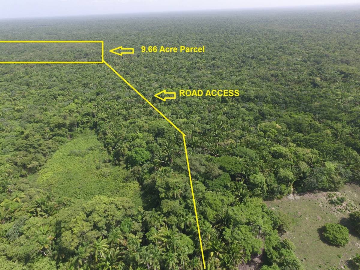 9.66 acres near Altun Ha Mayan Temple