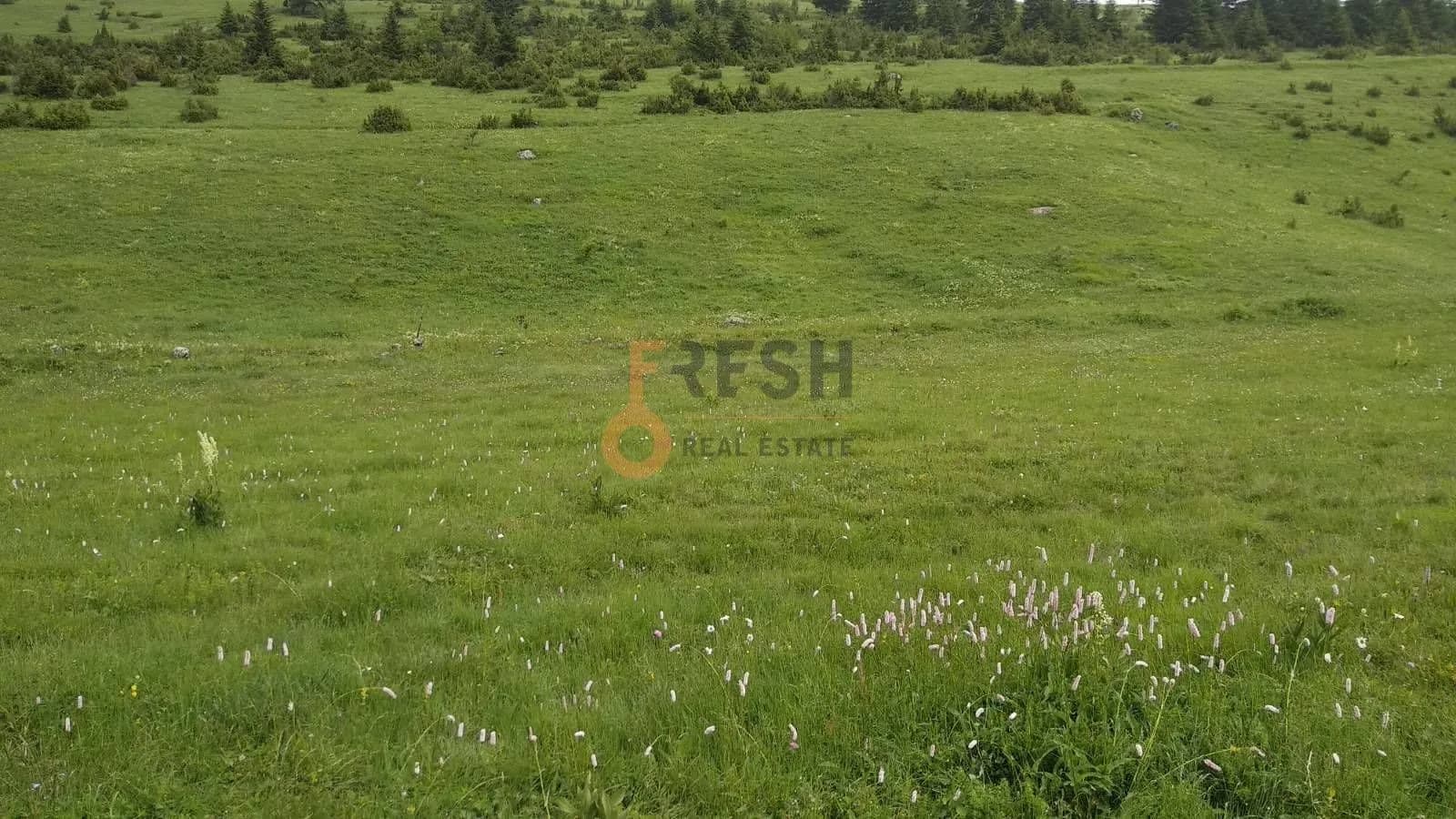 Prodaja, plac, 1600m², Žabljak, Crna Gora