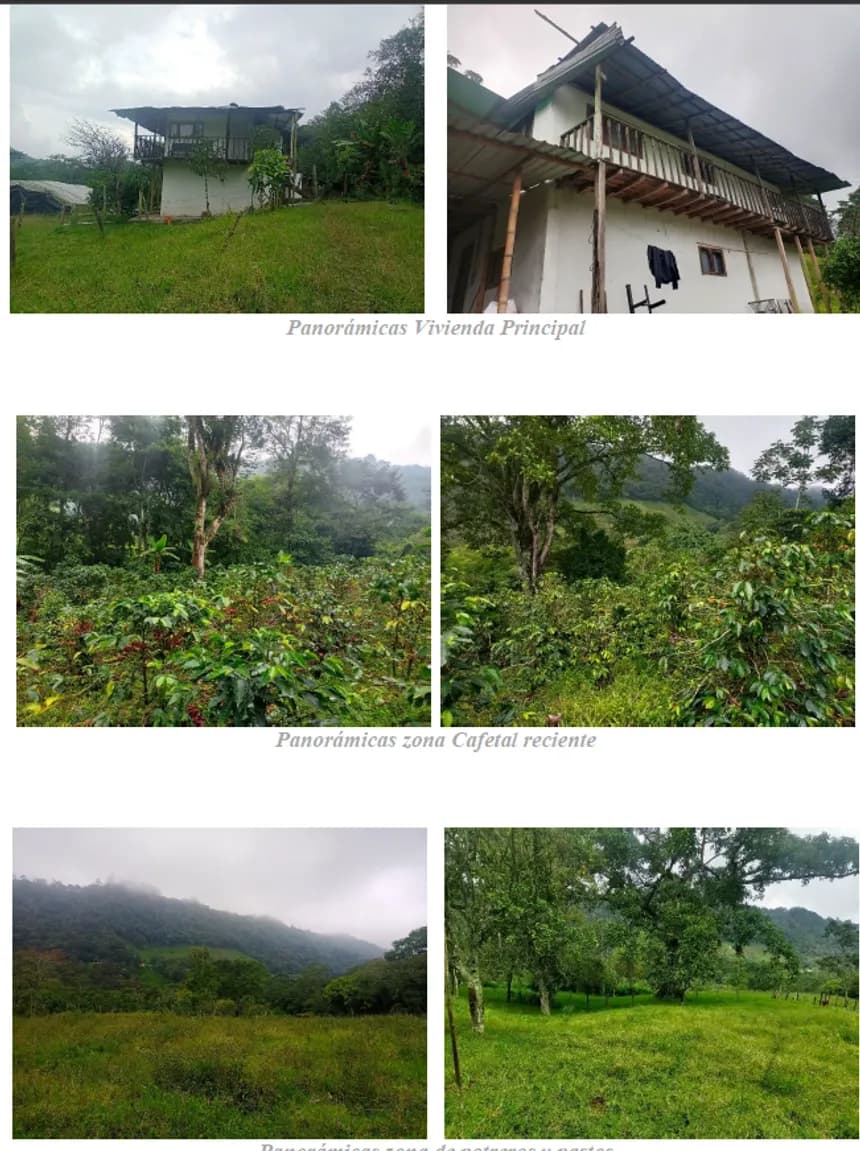 Finca en Venta