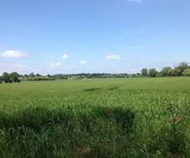 Terrain à bâtir à Flavy-le-Martel (02520)